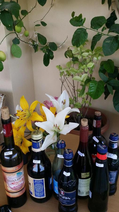 Verishen Guest House B&B Goris Exterior foto